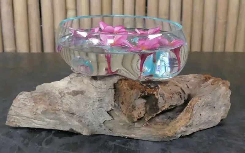 Product image of the product “Driftwood with melted wide glass (Model 2 - wide opening) on top as plant container . In the sizes from 10 to 35cm ”